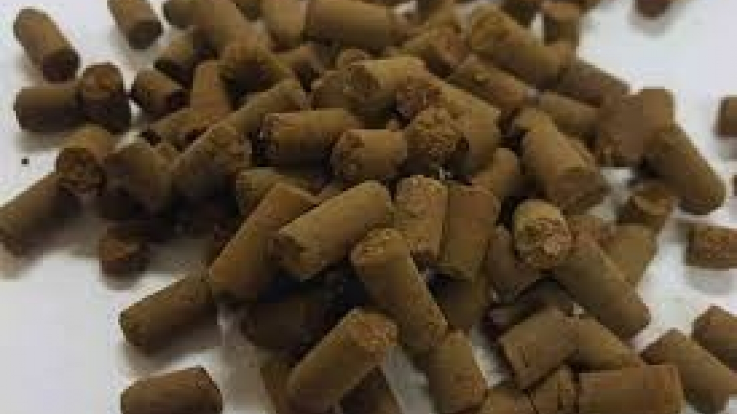 Biopellet: una solución del INTA para mejorar suelos y aprovechar residuos agroindustriales