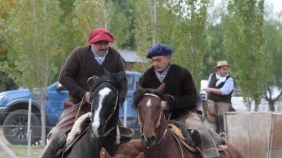 Cría de caballos, entre el negocio de los u$s 600 y la tradición: radiografía de la cultura equina en Mendoza