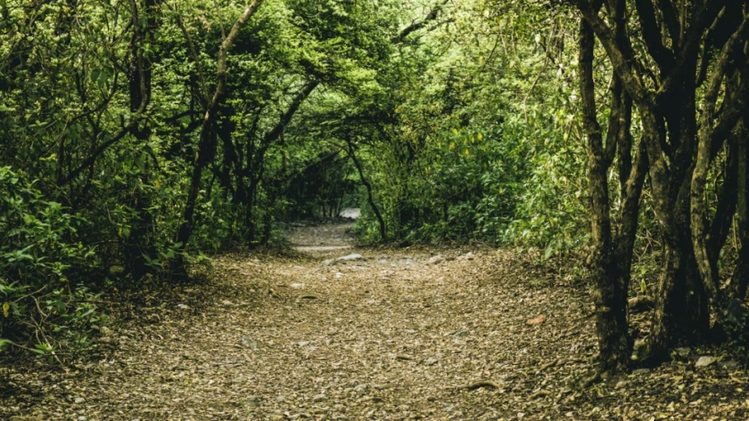 General Belgrano, el pueblo ideal para un asado y un día de descanso en la naturaleza