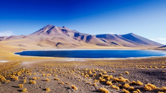 Atacama, el desierto que redefine la aridez global y se consolida como laboratorio natural para la ciencia