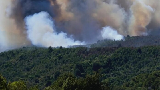 El incendio del PN Los Alerces sigue fuera de control y se extendió por una superficie de más de 600 hectáreas