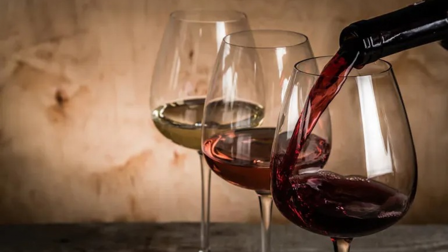 Variedad o terroir: qué pesa más en la identidad y el sabor de un vino