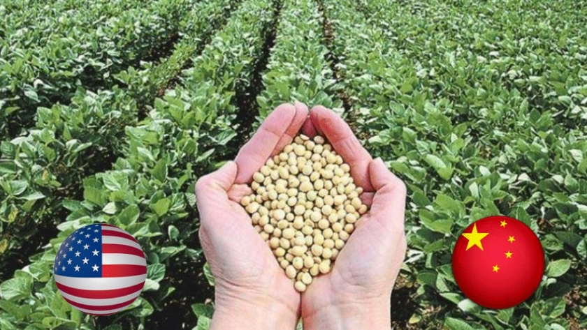 Las importaciones chinas de soja en mayo aumentan un 29% intermensual debido a las llegadas demoradas a Brasil