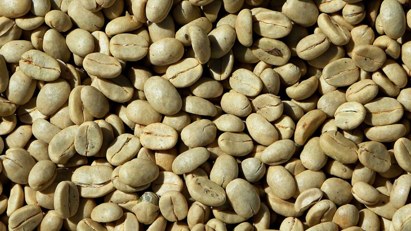 Hay 222 productos agropecuarios a la espera de admisibilidad para llegar a 54 países