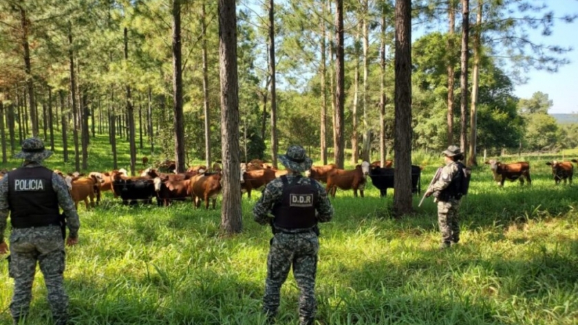 Misiones fortaleció su seguridad integral con avances tecnológicos en seguridad y mayor presencia en territorio