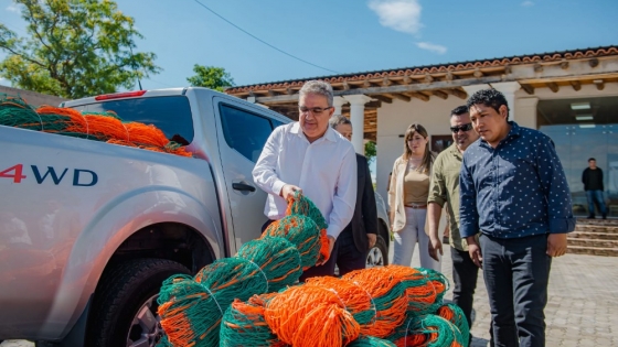 Promueven el aprovechamiento y preservación sustentable de la vicuña