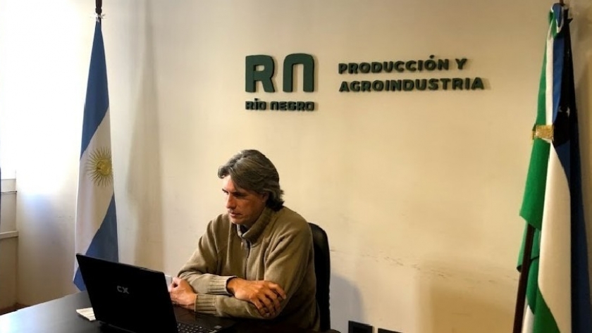 Se reunió la Unidad Ejecutora Provincial de la Ley Ovina de Río Negro