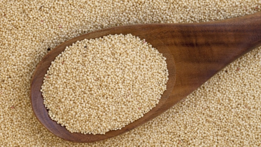 Dos proyectos sanjuaninos de tecnología y producción de alimentos serán financiados con más de $21 millones