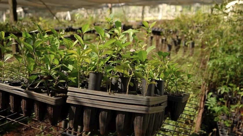 Agro: Comenzó el dictado de la diplomatura en producción y comercialización de productos orgánicos en misiones