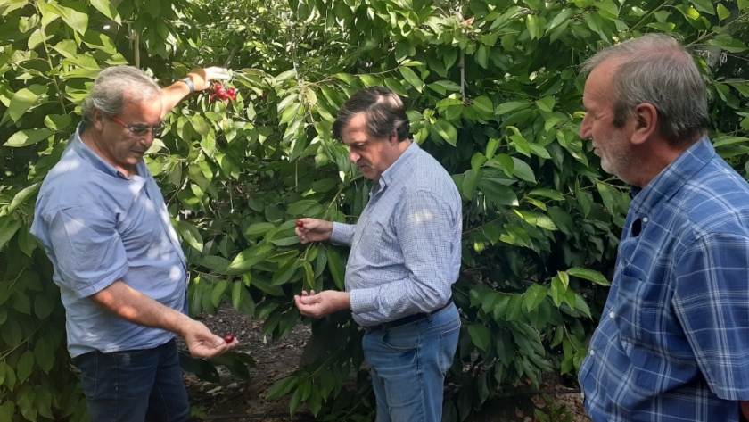 Acciones en territorio para fortalecer las cadenas productivas de Río Negro y Neuquén