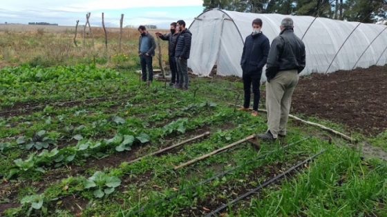 El Ministerio de Desarrollo Agrario firmó un convenio con horticultores en transición agroecológica de Guaminí, Salliqueló, Puán y Pigüé