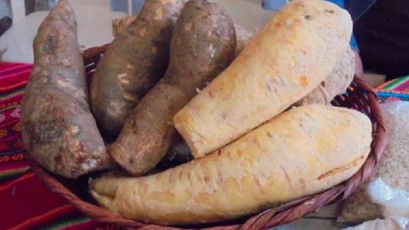 Determinan las propiedades nutricionales de productos andinos