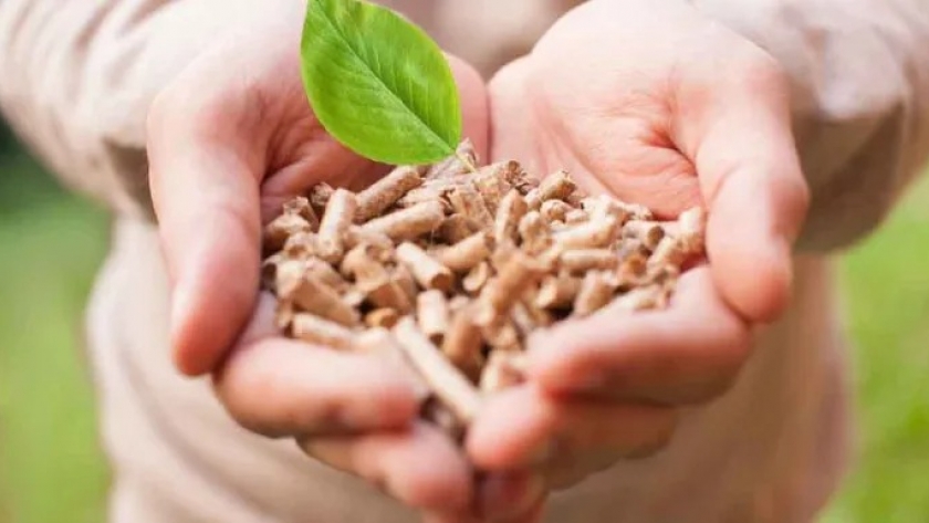 FONTAGRO y el IICA lanzan concurso de experiencias exitosas en bioeconomía en América Latina y el Caribe