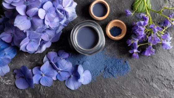EE.UU. aprueba un nuevo colorante azul natural derivado de la gardenia para alimentos y bebidas