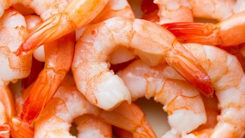 El Senasa certificó la primera exportación de langostinos argentinos a Brasil