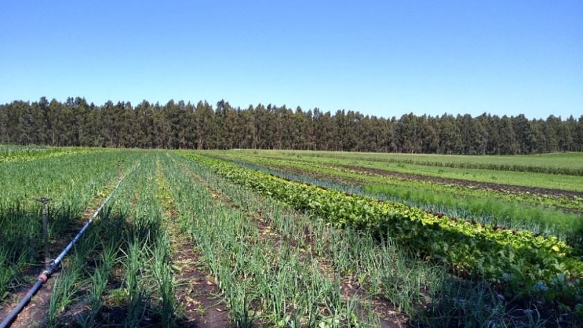 Nueva herramienta de visibilización y promoción de la producción frutihortícola con bases agroecológicas del partido de General Pueyrredón y la zona
