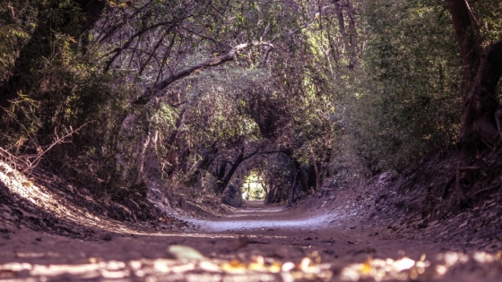 San Marcos Sierras, el refugio cordobés donde el verano transcurre al ritmo de la naturaleza