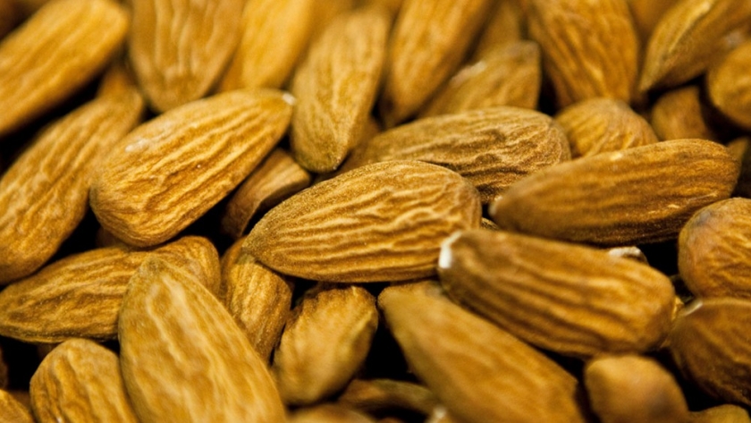 Argentina logró la apertura para la exportación de almendras a Brasil