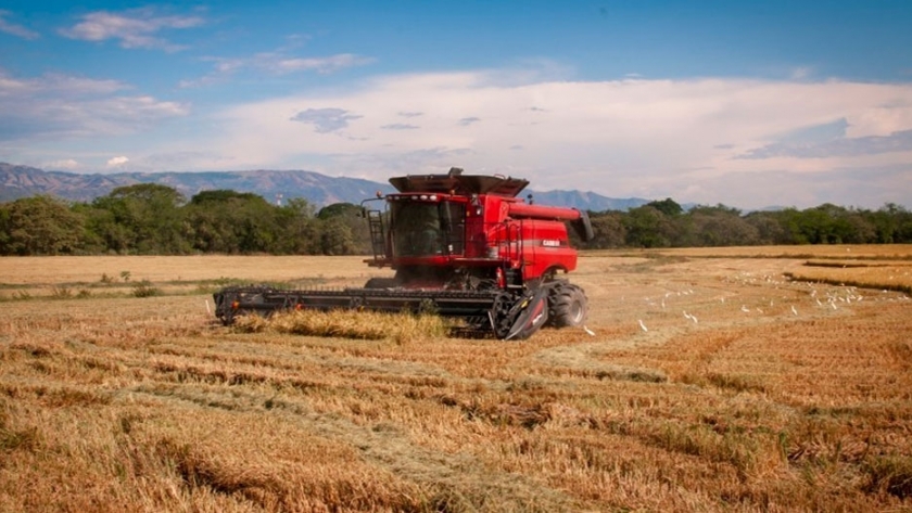 Conozca los retos del agro colombiano para el 2020