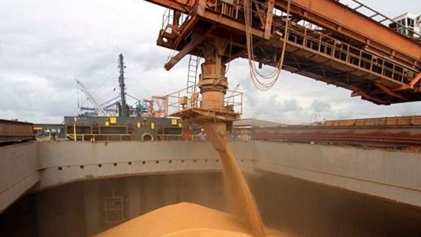Preocupa a la industria la molienda de soja más baja de los últimos seis años