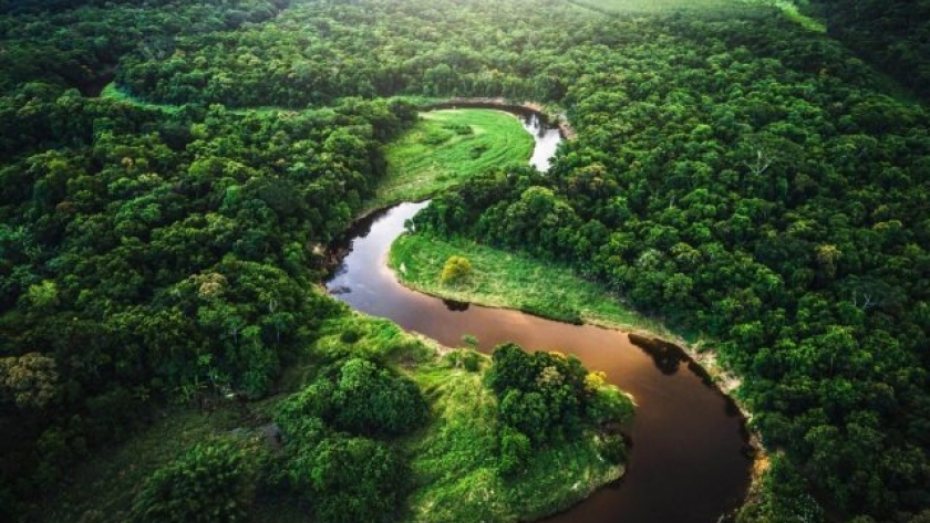 Brasil quiere financiamiento internacional para la Amazonía