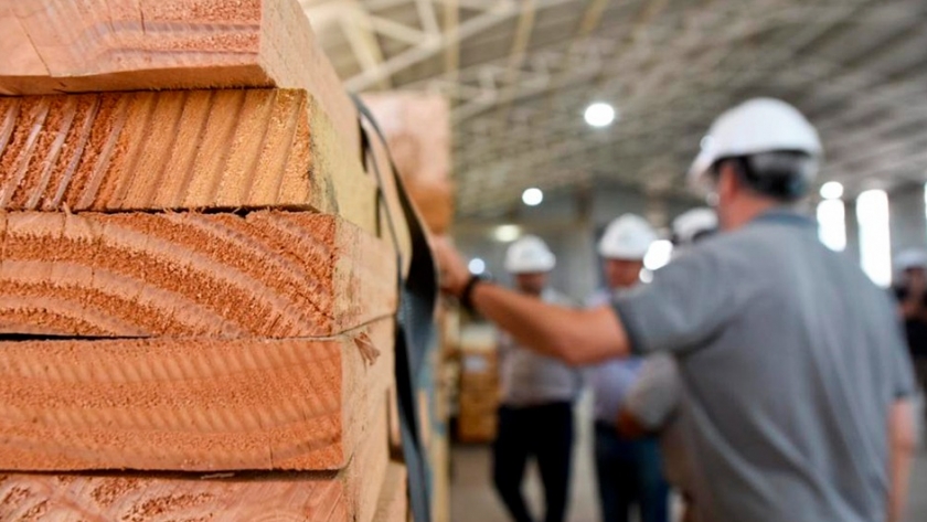 Con mucha anticipación, Provincia ya trabaja para implementar el Operativo Leña 2024