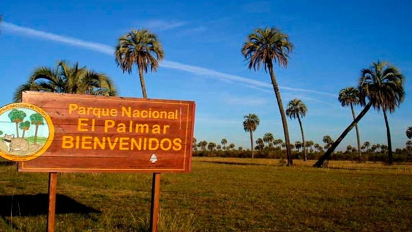 Apuntan al turismo inclusivo en el Parque Nacional El Palmar