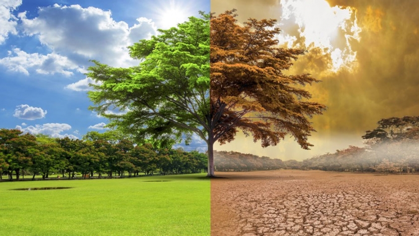 Se realizará el taller "Género, Ganadería y Cambio Climático"