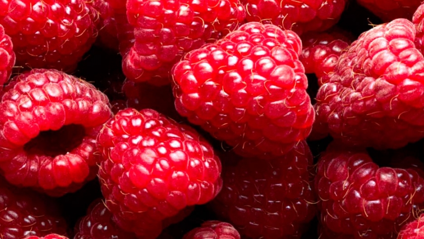 Hortifrut ingresa a la propiedad de BFruit, una de las principales organizaciones de productores de berries en Portugal