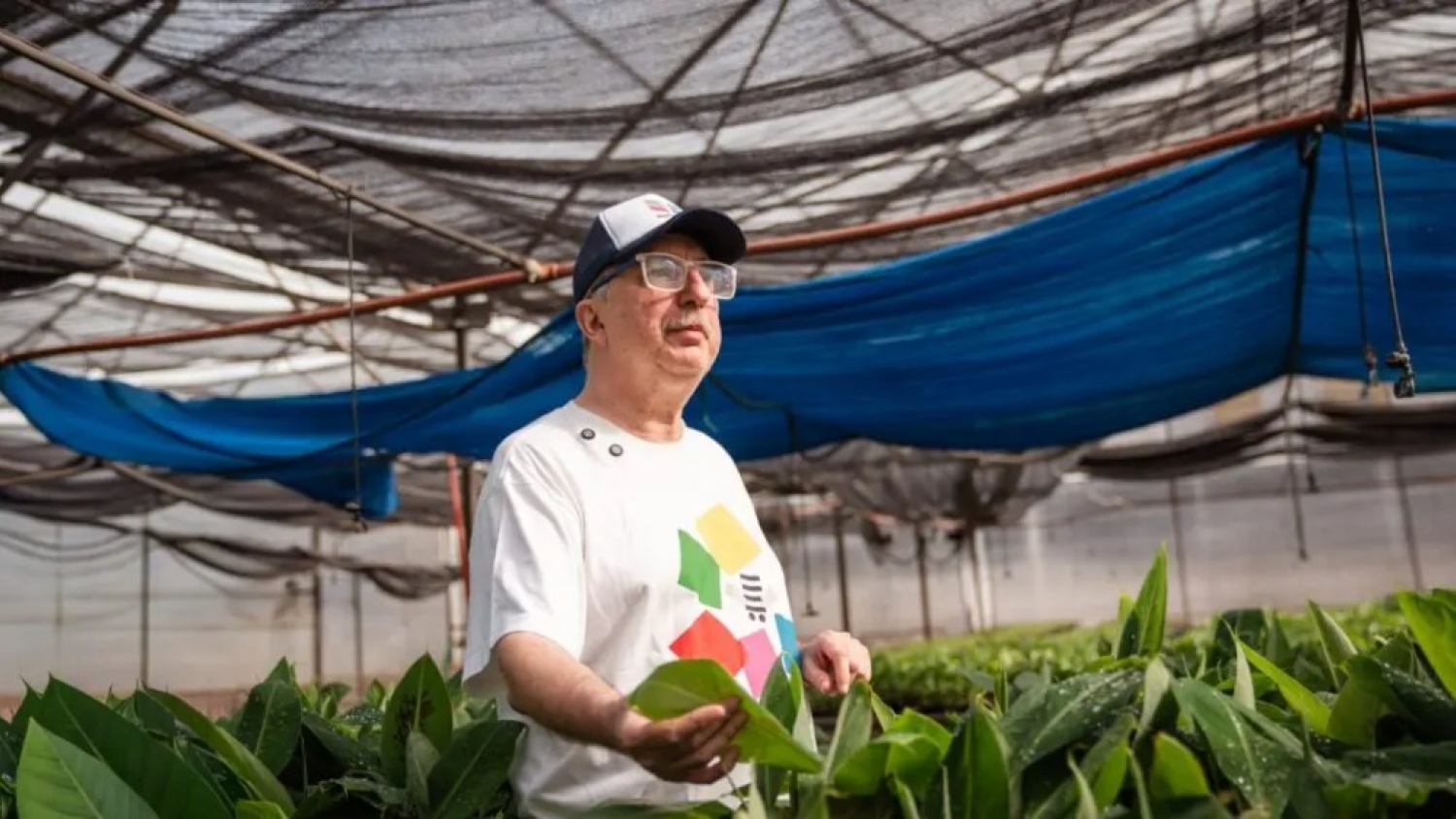 Misiones impulsa la producción hortícola con nuevas tecnologías