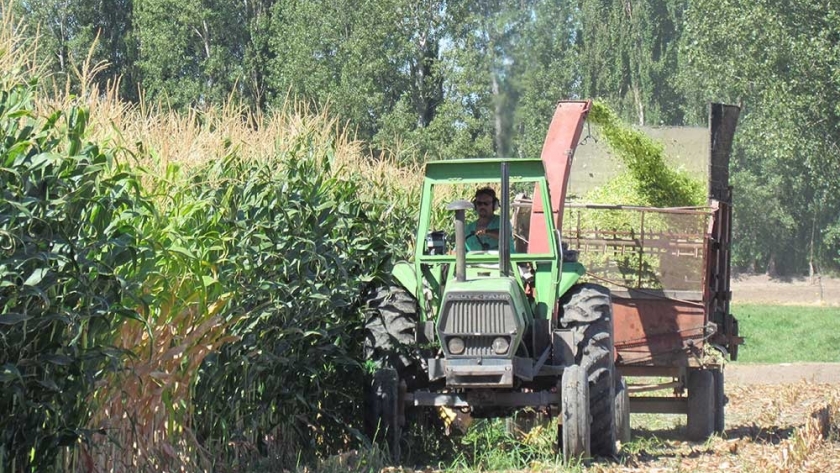 Anuncian importante mejora para trabajadores rurales temporales: podrán usar la Tarjeta Alimentar