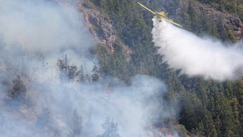 Incendios forestales: el Gobierno nacional declaró la emergencia ígnea en todo el territorio argentino