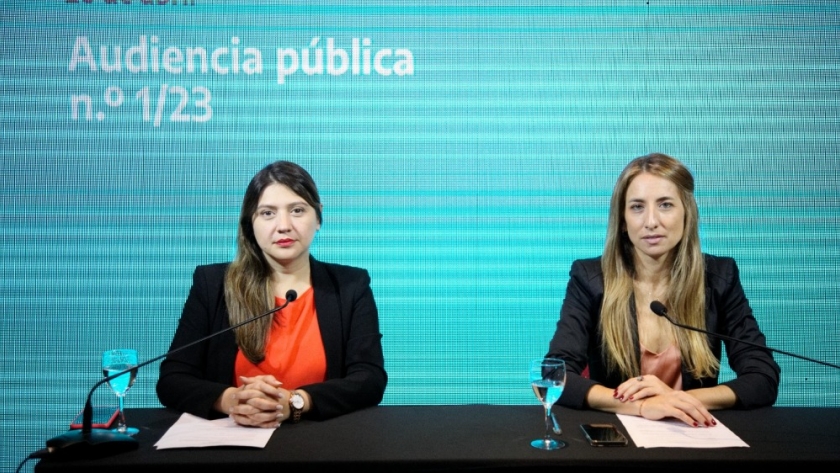 Se realizó la audiencia pública por el proyecto “Fénix” en la Cuenca Marina Austral