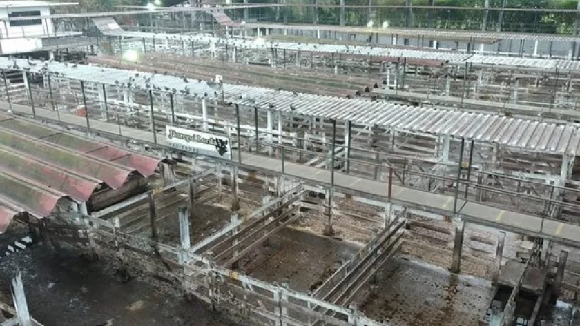 Carne: sin ingresos en Liniers, se mantiene alto el acatamiento del paro y hay expectativa sobre la reapertura de negocios