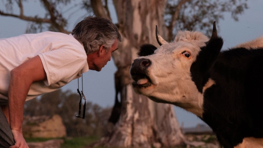 Ganadería agroecológica en Gualeguaychú: Hoy estoy con la misma rentabilidad que cuando arrendaba los campos