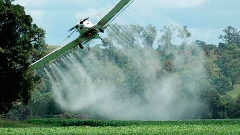 Transición hacia la protección sostenible de las plantas en la agricultura: presentación del proyecto Sprint
