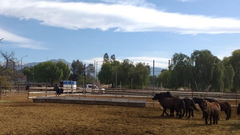 Ecoparque: más de 850 animales ya fueron derivados a nuevos hogares