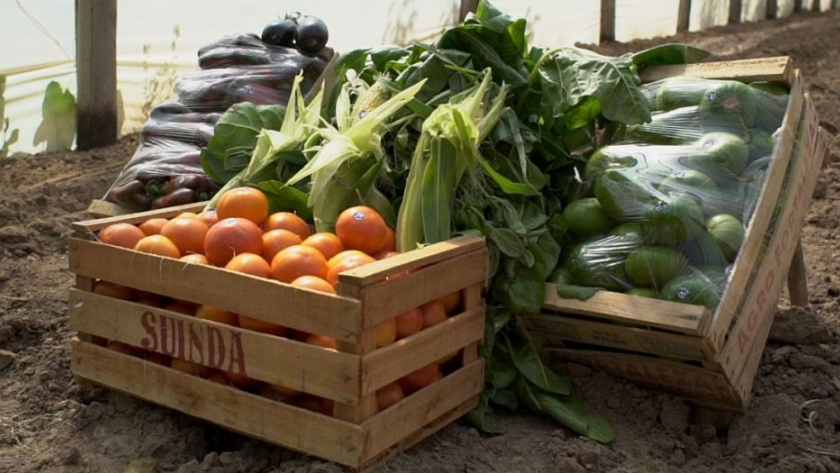 Control de camiones de carga de productos alimenticios y frutihortícolas
