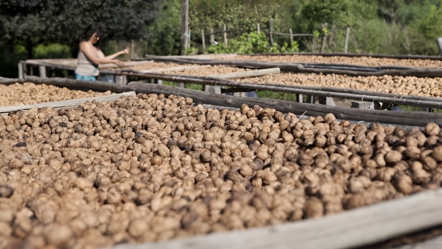 Andalgalá fortalece su desarrollo agroindustrial local