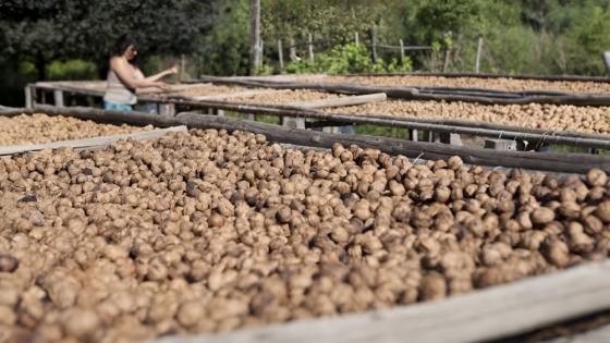 Andalgalá fortalece su desarrollo agroindustrial local