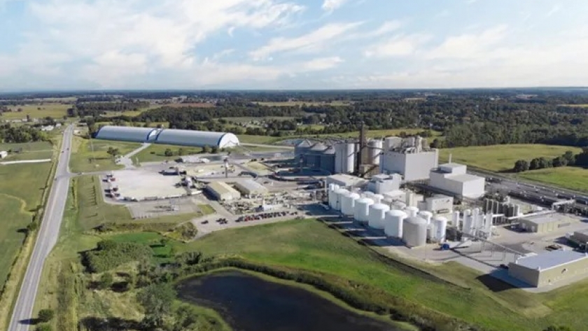 Competencia para Argentina: Dreyfus suma una planta de procesamiento y confirma el boom de los biocombustibles en Estados Unidos
