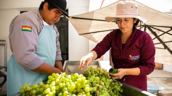Bolivia y la FAO acuerdan USD 1,5 millones para la producción de uva