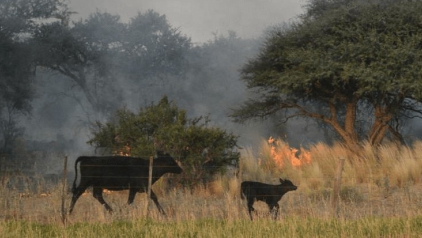 Se acerca la temporada de incendios y comenzaron a encenderse las primeras alertas