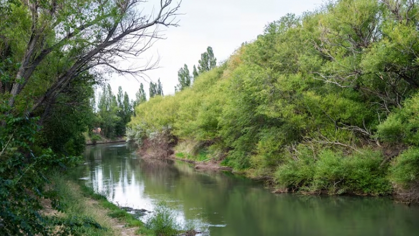 Gaiman: el pueblo galés de Chubut con capillas y té