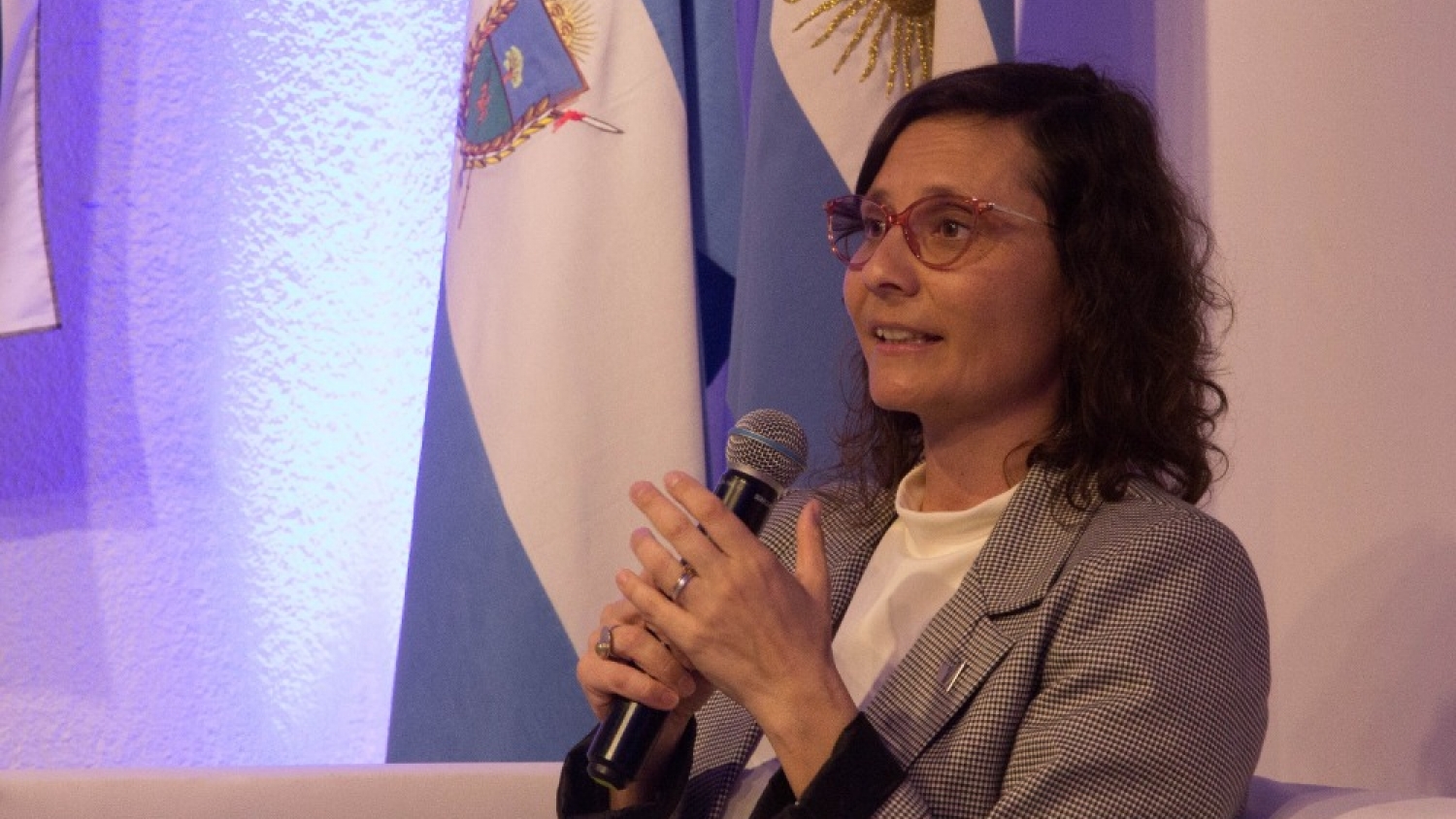 Fuerte división en el COFEMA por la reforma de la Ley de Glaciares