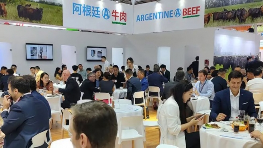 Sabor y textura, dos cualidades de la carne que abren oportunidades de valor a la producción en base a granos