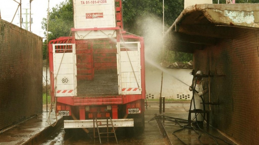 La desinfección y el lavado del transporte de hacienda previene enfermedades