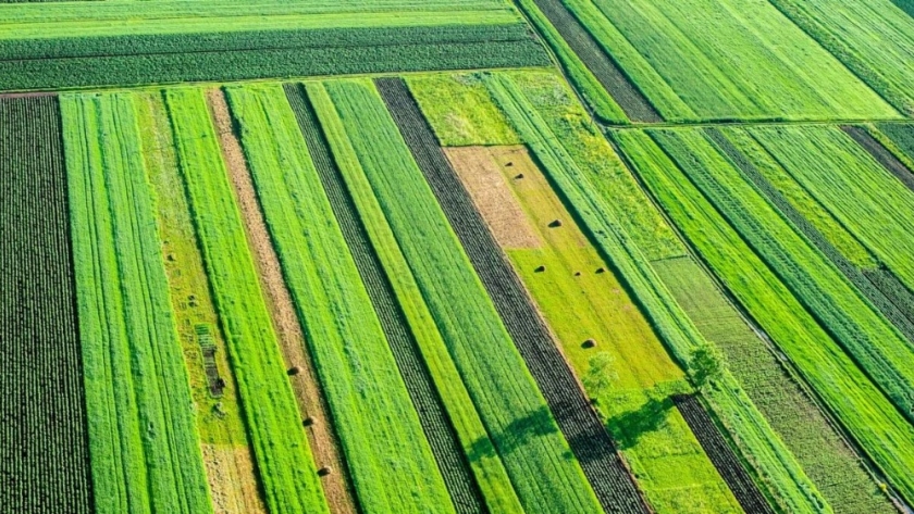 La importancia de la gestión ambiental en el sector agropecuario