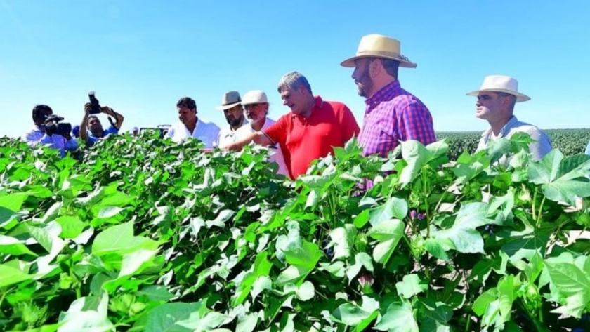 Los agricultores y su rol clave en el desarrollo de las comunidades