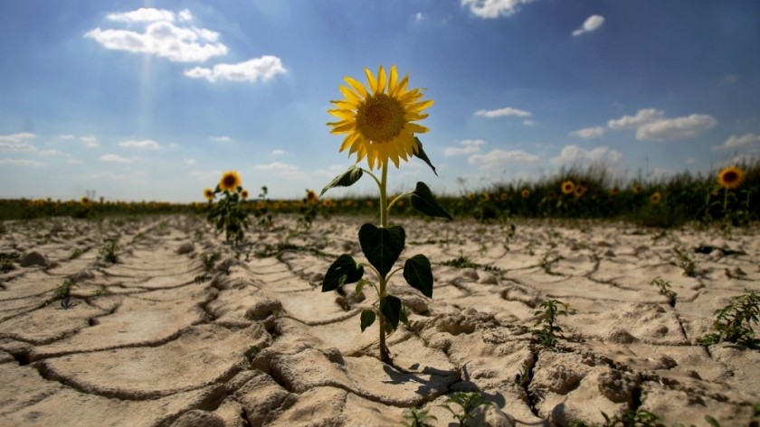 Cambio Climático: Ambiente realizó un conversatorio sobre participación ciudadana